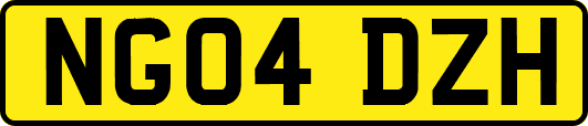 NG04DZH