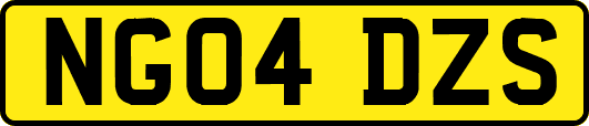 NG04DZS
