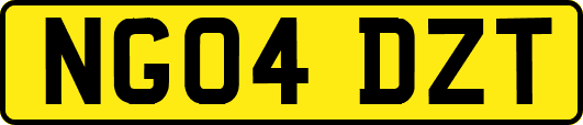 NG04DZT