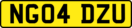 NG04DZU