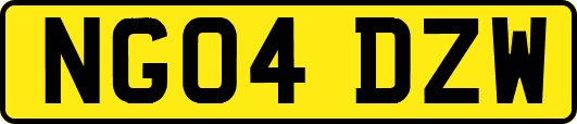 NG04DZW
