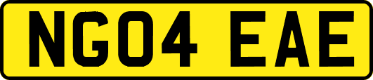 NG04EAE