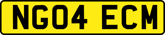 NG04ECM