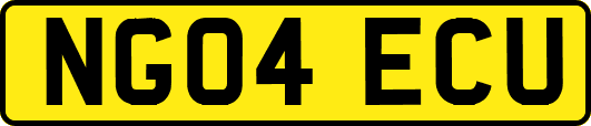 NG04ECU