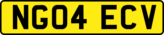 NG04ECV
