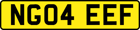 NG04EEF
