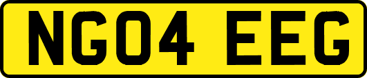 NG04EEG