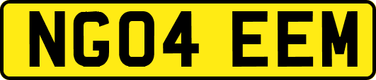NG04EEM