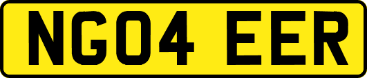 NG04EER