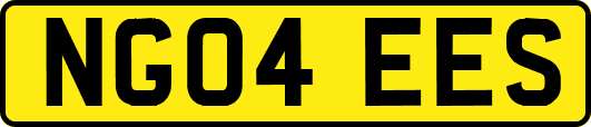 NG04EES