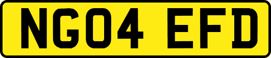 NG04EFD