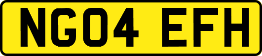 NG04EFH
