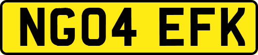 NG04EFK
