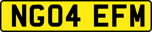 NG04EFM