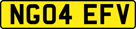 NG04EFV