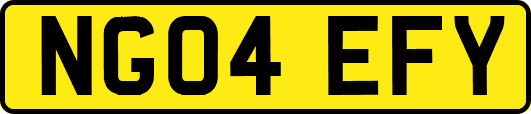 NG04EFY