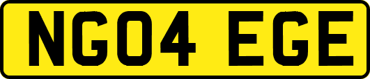 NG04EGE