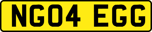 NG04EGG