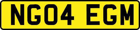 NG04EGM