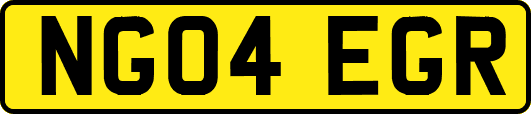 NG04EGR