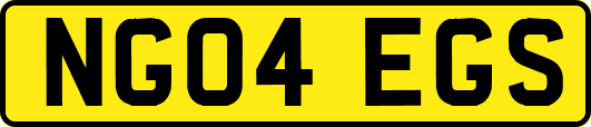 NG04EGS