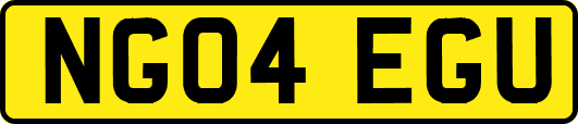 NG04EGU