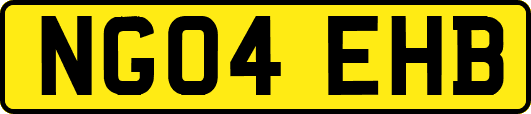 NG04EHB