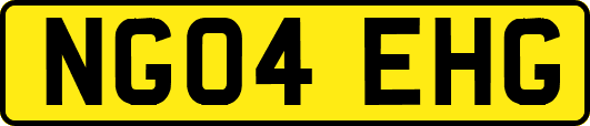 NG04EHG