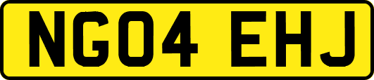 NG04EHJ
