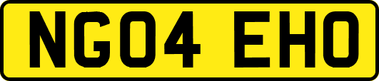 NG04EHO