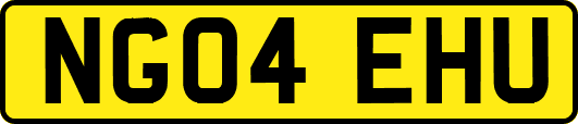 NG04EHU