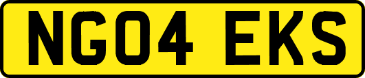NG04EKS