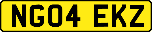 NG04EKZ