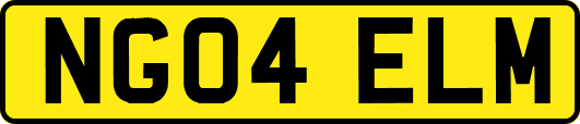 NG04ELM