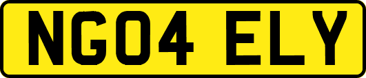 NG04ELY
