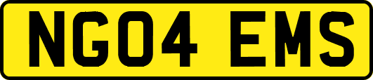 NG04EMS