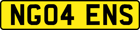 NG04ENS