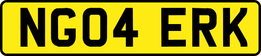 NG04ERK