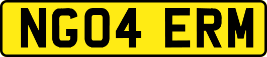 NG04ERM