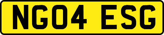 NG04ESG