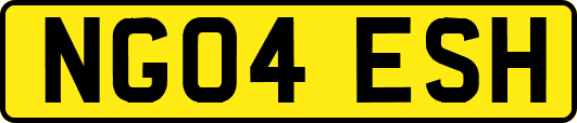 NG04ESH