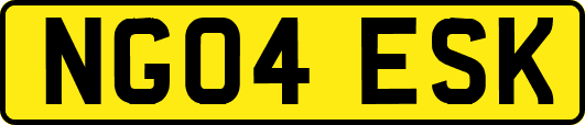 NG04ESK