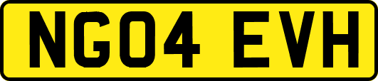 NG04EVH