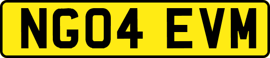 NG04EVM