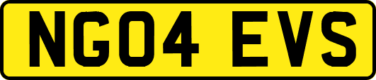 NG04EVS