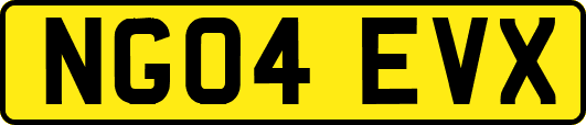 NG04EVX