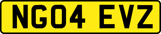 NG04EVZ