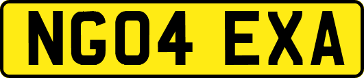 NG04EXA