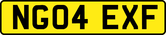 NG04EXF