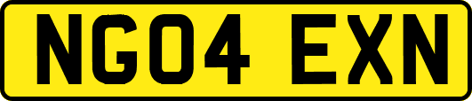 NG04EXN